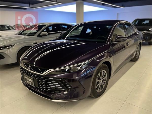 بی وای دی کوێن L DM-i 2025  بۆ فرۆشتن لە عێراق - دهۆک